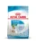 ROYAL CANIN Mini Starter Mother& Babydog 4 kg hrana pentru femele gestante si care alapteaza si catelusi de la 4 la 8 saptamani de talie mica