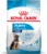 ROYAL CANIN SHN Maxi PUPPY (vârsta până la 15 luni)