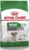ROYAL CANIN SHN Mini Ageing +12 1,5kg