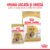 ROYAL CANIN Shih Tzu Adult hrană umedă câini (pate), bax, 85g x 12buc
