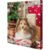 Recompense Pentru Caini, Calendar Advent, 30×34×3.5cm
