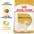 Royal Canin Bichon Frise Adult, 500 g