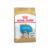 Royal Canin Buldog Puppy, hrana uscata pentru caini, 3 kg
