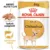 Royal Canin Chihuahua Adult hrana umeda caine (pate), 85 g