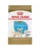 Royal Canin Chihuahua Puppy hrana uscata caine junior, 500 g