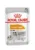 Royal Canin Coat Care Adult hrana umeda caine, blana sanatoasa si lucioasa (loaf), 85 g