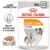 Royal Canin Coat Care Adult hrana umeda caine, blana sanatoasa si lucioasa (pate), 12 x 85 g
