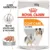 Royal Canin Coat Care Adult hrana umeda caine, blana sanatoasa si lucioasa (pate), 85 g