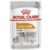 Royal Canin Coat Care, hrana umeda pentru caini, 85 gr