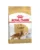 Royal Canin Cocker Adult hrana uscata caine, 12 kg