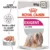 Royal Canin Exigent Adult hrana umeda caine, apetit capricios (pate), 12 x 85 g
