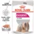 Royal Canin Exigent Adult hrana umeda caine, apetit capricios (pate), 85 g