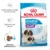 Royal Canin Giant Starter Mother & Babydog, mama si puiul, hrana uscata caine, 15 kg