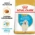 Royal Canin Golden Retriever Puppy 12 Kg