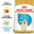 Royal Canin Golden Retriever Puppy 3 Kg