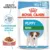 Royal Canin Hrana Umeda Mini Puppy 12×85 g