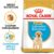 Royal Canin Labrador Puppy hrana uscata caine junior