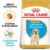 Royal Canin Labrador Puppy, hrana uscata pentru caini juniori, 12 kg