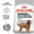 Royal Canin Maxi Dental Care Adult hrana uscata caine, reducerea formarii tartrului