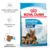 Royal Canin Maxi Starter Mother & Babydog, mama si puiul, hrana uscata caine, 15 kg