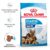 Royal Canin Maxi Starter Mother & Babydog, mama si puiul, hrana uscata caine