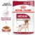 Royal Canin Medium Adult hrana umeda caine (in sos), 10 x 140 g