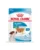 Royal Canin Mini Puppy hrana umeda catei de talie mica 12 x 85 g