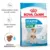 Royal Canin Mini Starter Mother & Babydog, mama si puiul, hrana uscata caine, 4 kg