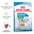 Royal Canin Mini Starter Mother & Babydog, mama si puiul, hrana uscata caine