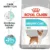 Royal Canin Mini Urinary Care hrana uscata caine, sanatatea tractului urinar, 1 kg