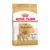 Royal Canin Pomeranian Adult, hrana uscata caini, 1.5 kg