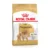 Royal Canin Pomeranian Adult, hrana uscata caini, 1.5kg