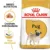 Royal Canin Pug Adult hrana uscata caine, 1.5 kg
