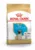 Royal Canin Pug Puppy hrana uscata caine junior, 1.5 kg