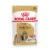 Royal Canin Shih Tzu Adult hrana umeda caine (pate), 12 x 85 g