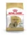 Royal Canin Shih Tzu Adult hrana uscata caine, 1.5 kg