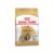 Royal Canin Shih Tzu adult, hrana uscata pentru caini, 500 gr