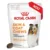 Royal Canin Suplimente, Skin & Coat Chews, 240 g