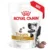 Royal Canin Vet Treats, Urinary Dog, 230 g