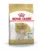 Royal Canin West Highland Terrier Adult hrana uscata pentru caini adulti 1.5 kg