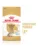 Royal Canin Yorkshire Adult 8+ hrana uscata caine senior, 1.5 kg
