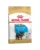 Royal Canin Yorkshire Puppy hrana uscata caine junior, 1.5 kg