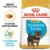 Royal Canin Yorkshire Puppy hrana uscata caine junior, 500 g