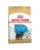 Royal Canin Yorkshire Puppy hrana uscata caine junior, cu pui 7.5 kg