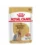 Royal Canin Yorkshire Terrier Adult hrana umeda caine, 12 x 85 g