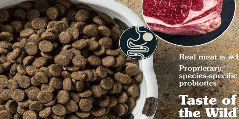 Ce este AAFCO si ce rol are in Calitatea Hranei Pentru Caini?