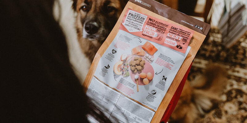 Ce Contine Mancarea Pentru Caini? Cum Citim Eticheta?