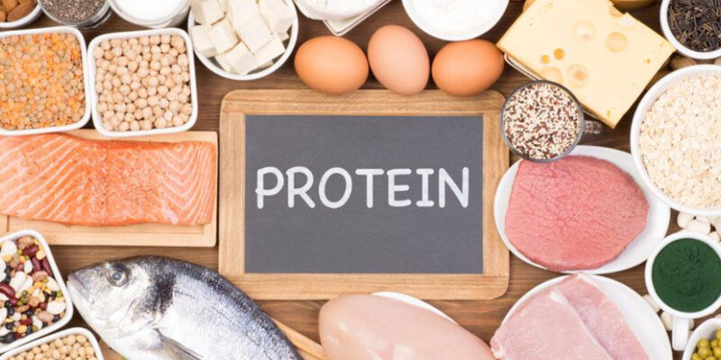 Prea Multa Proteina la Caine? Cum Eviti Excesul de Proteina la Caini